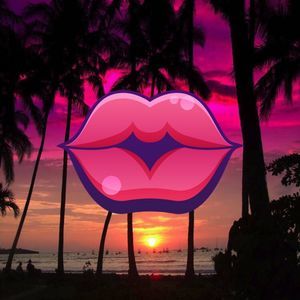 Meet your Posher, Anetra